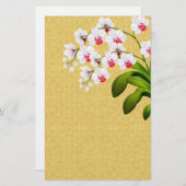 Papeterie blanche Phalaenopsis orchidées (Devant / Derrière)