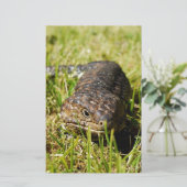 Papeterie Blue Tongue Lizard Creeping (Debout devant)