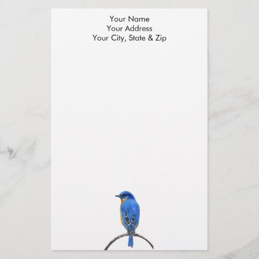 Papeterie Bluebird (Devant)