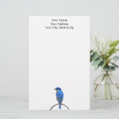 Papeterie Bluebird (Debout devant)