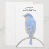 Papeterie Bluebird (Devant / Derrière)