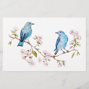 Papeterie Bluebirds de montagne sur la branche Sakura