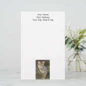 Papeterie Bobcat (Debout devant)