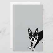 Papeterie Boston Terrier (Devant / Derrière)