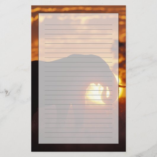 Papeterie Botswana, Parc national de Chobe, Bull Elephant (Devant)