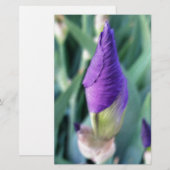 Papeterie bourgeon d'iris pourpre (Devant / Derrière)