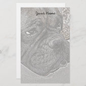 Papeterie Boxe Dog stationnaire (Devant / Derrière)