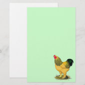 Papeterie Brahma : Rooster Buff (Devant / Derrière)