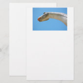 Papeterie Brontosaurus Dinosaur (Devant / Derrière)