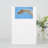 Papeterie Brontosaurus Dinosaur (Debout devant)