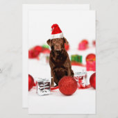Papeterie Brown Labrador Chien Noël w Cadeaux Santa Hat (Devant / Derrière)