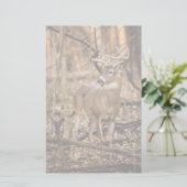 Papeterie Buck de cerf à queue blanche (Debout devant)