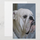 Papeterie bulldog (Devant / Derrière)