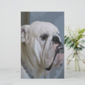 Papeterie bulldog (Debout devant)