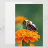 Papeterie Busy Bee (Devant / Derrière)