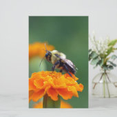 Papeterie Busy Bee (Debout devant)