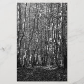 Papeterie BW Trees (Devant)