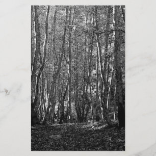 Papeterie BW Trees