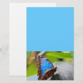 Papeterie Cadeaux de destin (Devant / Derrière)