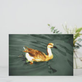 Papeterie Canard (Debout devant)