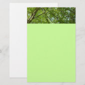 Papeterie Canopée du printemps Feuille Green Nature Scene (Devant / Derrière)