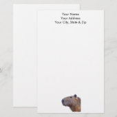 Papeterie Capybara (Devant / Derrière)