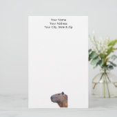 Papeterie Capybara (Debout devant)