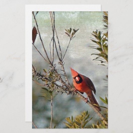 Papeterie Cardinal du nord en cire le Myrte (Devant / Derrière)