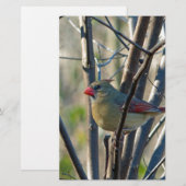 Papeterie Cardinal féminin (Devant / Derrière)