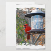 Papeterie Cardinal masculin (Devant / Derrière)