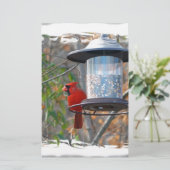 Papeterie Cardinal masculin (Debout devant)