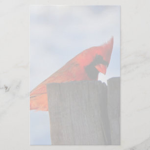 Papeterie Cardinal rouge sur la souche en bois