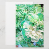 Papeterie Carnation verte (Devant / Derrière)
