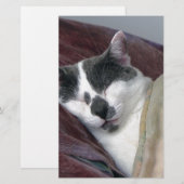 Papeterie Cat Napping (Devant / Derrière)