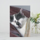 Papeterie Cat Napping (Debout devant)
