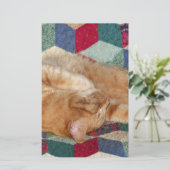 Papeterie Cat Napping (Debout devant)