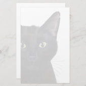 Papeterie Cat, Portrait de Gus (Devant / Derrière)