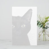 Papeterie Cat, Portrait de Gus (Debout devant)