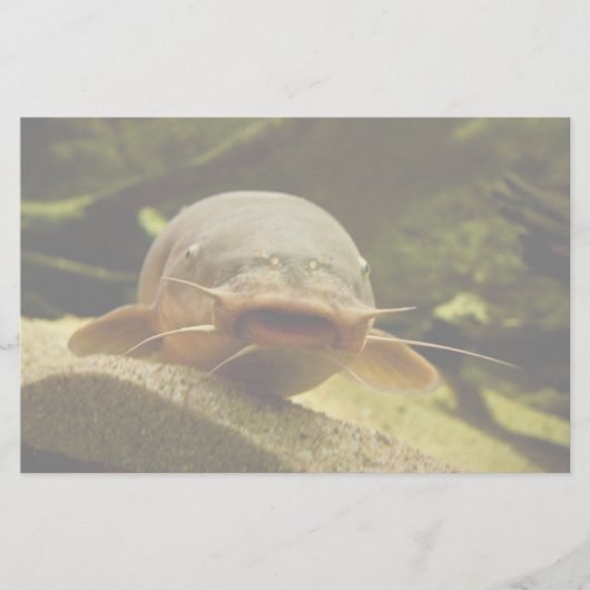 Papeterie Catfish (Devant)