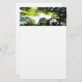 Papeterie Cercle de séquoias au parc national Redwood (Devant / Derrière)