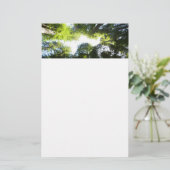 Papeterie Cercle de séquoias au parc national Redwood (Debout devant)