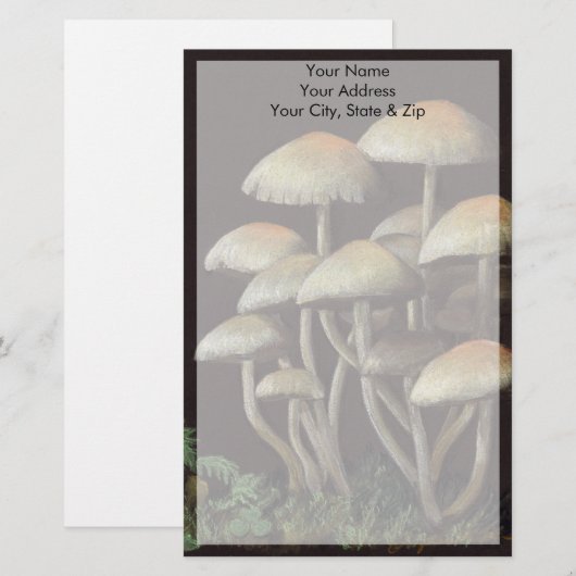 Papeterie Champignons (Devant / Derrière)