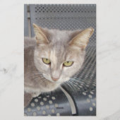 Papeterie Chat (Dos)