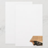 Papeterie Chat dans un sac (Devant / Derrière)