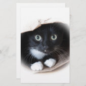 Papeterie Chat dans un sac (Devant / Derrière)