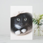 Papeterie Chat dans un sac (Debout devant)