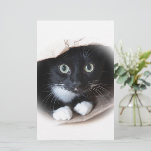 Papeterie Chat dans un sac (Debout devant)