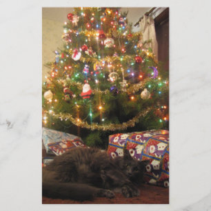 Papeterie Chat de Noël