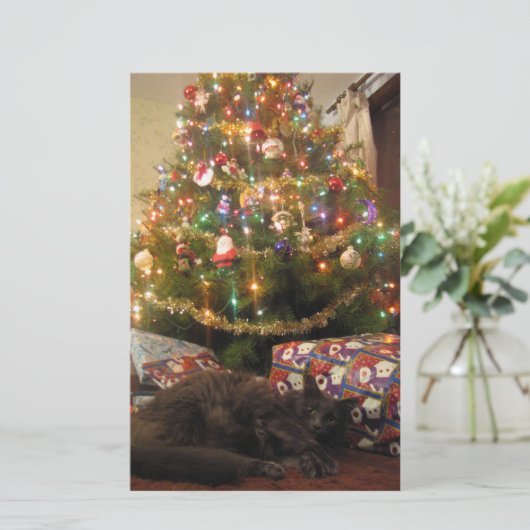 Papeterie Chat de Noël (Debout devant)