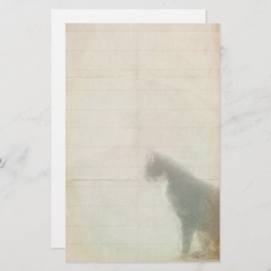 Papeterie Chat en attente (Devant / Derrière)